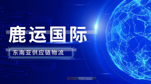 全球供應鏈變革 數(shù)字技術(shù)為外貿(mào)服務注入新動能