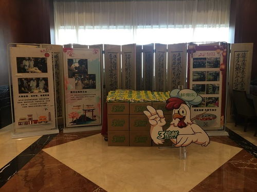 紅橋布標(biāo)設(shè)計恒眾 一站式廣告工程解決方案專家